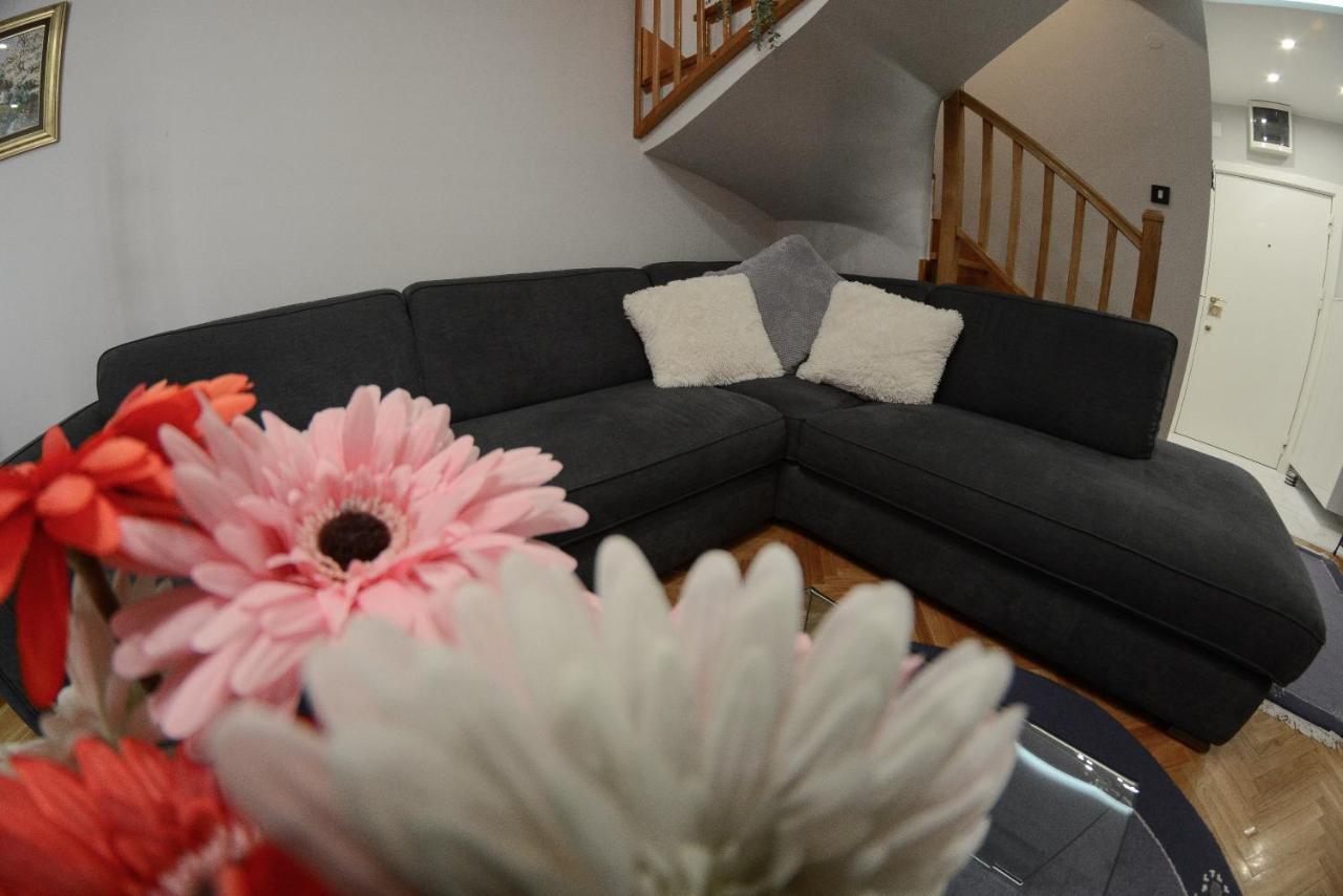 Apartment Dobraya Blue Novi Sad Luaran gambar